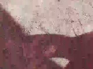 雪山飞狐直播_雪山飞狐在线视频_YY搜索