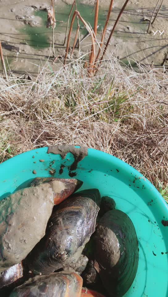 YY叉叉视频直播全集_YY叉叉资料大全-YY官方