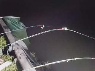 夜钓直播_夜钓在线视频_YY搜索