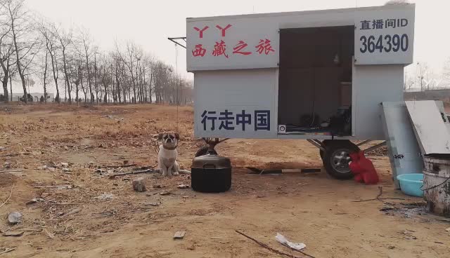 徒步大丫东视频直播全集_徒步大丫东资料大全